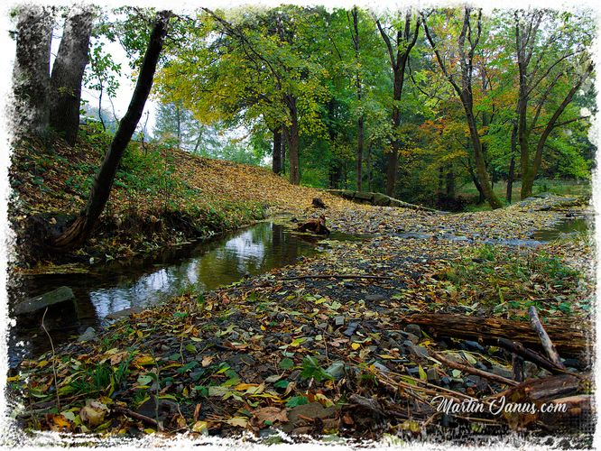 Jaworze Beskidys Autumn